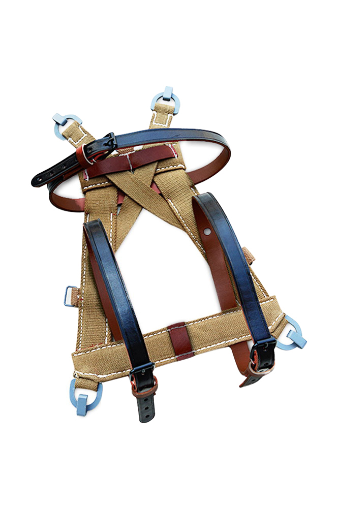German Field Gears,A-Frame Assault Pack