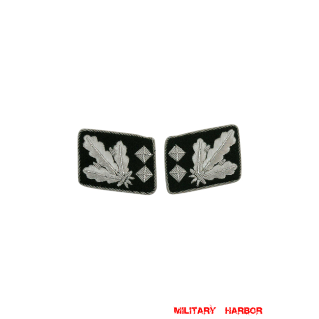 WWII German SS Obergruppenführer (Lt. General) Collar Tabs WW2 german badge,wehrmacht collar insignia,Luftwaffe collar insignia,SS collar insignia,SS Obergruppenfuhrer Collar Tabs,german badge WWII,militaria german,WWII german,wehrmacht badge,Luftwaffe badge,SS badge,WWII military surplus,WWII german insignia,german collar insignia