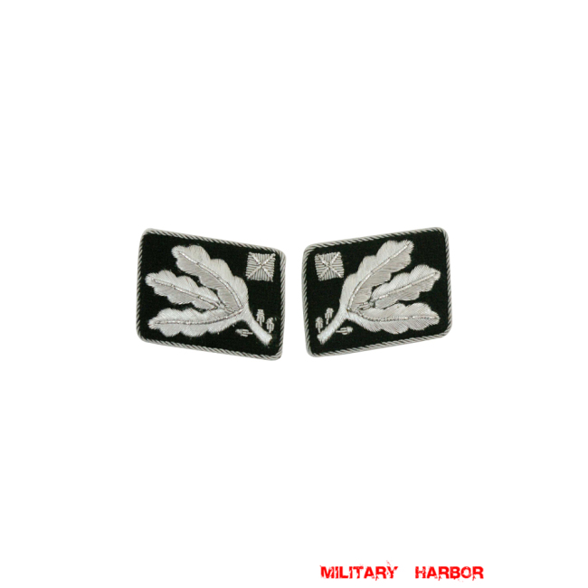 WWII German SS Obergruppenführer (Lt. General) before 1942 Collar Tabs WW2 german badge,wehrmacht collar insignia,Luftwaffe collar insignia,SS collar insignia,SS Obergruppenfuhrer Collar Tabs,german badge WWII,militaria german,WWII german,wehrmacht badge,Luftwaffe badge,SS badge,WWII military surplus,WWII german insignia,german collar insignia