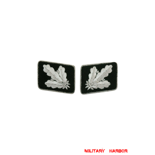 WWII German SS Brigadeführer (Brigadier General) Collar Tabs WW2 german badge,wehrmacht collar insignia,Luftwaffe collar insignia,SS collar insignia,SS Brigadefuhrer Collar Tabs,german badge WWII,militaria german,WWII german,wehrmacht badge,Luftwaffe badge,SS badge,WWII military surplus,WWII german insignia,german collar insignia