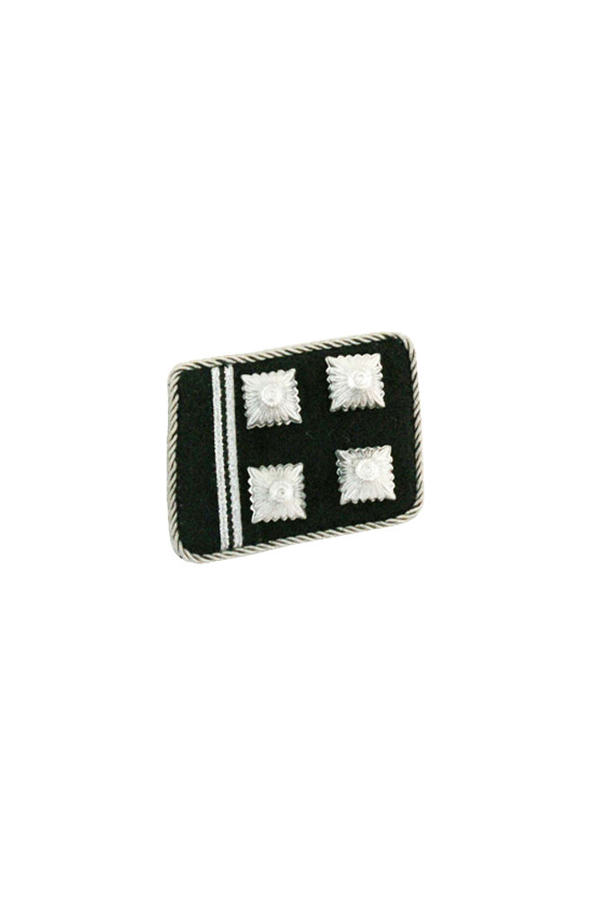 WW2 german badge,wehrmacht collar insignia,Luftwaffe collar insignia,SS collar insignia,SS Obersturmbannfuhrer Collar Tabs,german badge WWII,militaria german,WWII german,wehrmacht badge,Luftwaffe badge,SS badge,WWII military surplus,WWII german insignia,german collar insignia