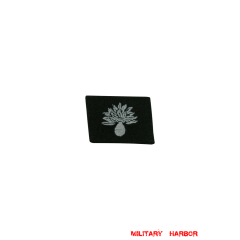 WWII German SS Landstorm Nederland Div. EM/NCO right collar tab WW2 german badge,wehrmacht collar insignia,Luftwaffe collar insignia,SS collar insignia,SS Landstorm Nederland collar tab,german badge WWII,militaria german,WWII german,wehrmacht badge,Luftwaffe badge,SS badge,WWII military surplus,WWII german insignia,german collar insignia