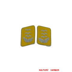 WWII German Luftwaffe Flight Fallschirmjäger Hauptmann Collar Tabs WW2 german badge,wehrmacht collar insignia,Luftwaffe collar insignia,SS collar insignia,Luftwaffe Flight Fallschirmjager Hauptmann Collar Tabs,german badge WWII,militaria german,WWII german,wehrmacht badge,Luftwaffe badge,SS badge,WWII military surplus,WWII german insignia,german collar insignia