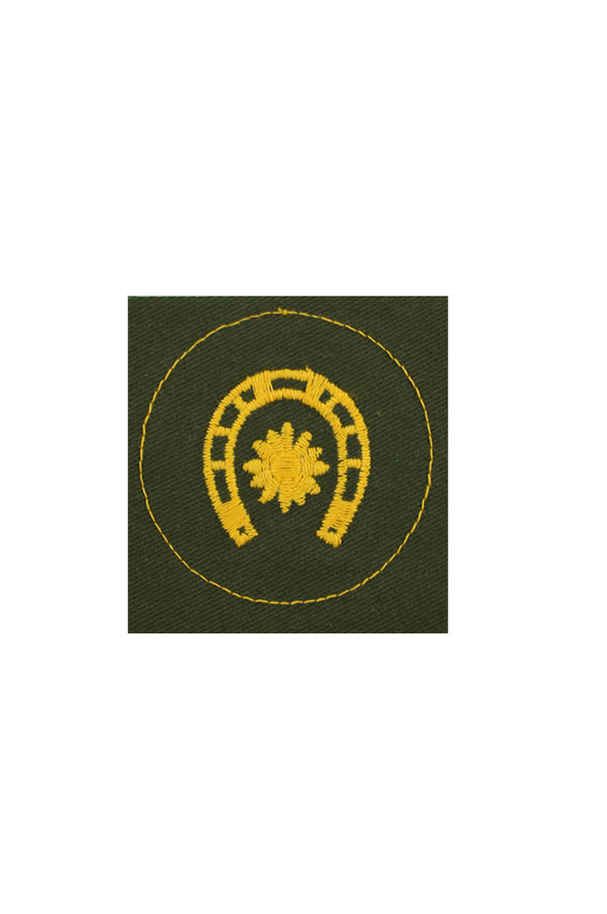WW2 german badge,wehrmacht badge,Luftwaffe badge,SS badge,heer DAK farrier instructor sleeve trade insignia,german badge WWII,militaria german,WWII german,wehrmacht badge,Luftwaffe badge,SS badge,WWII military surplus,WWII german insignia,german sleeve badge,SS Trade Insignia