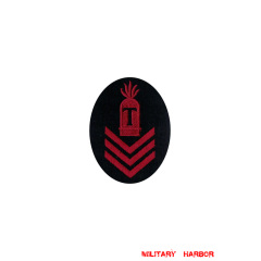 WWII German Kriegsmarine Gun chief T turret gun after six years specialty trade insignia WW2 german badge,wehrmacht badge,Luftwaffe badge,Kriegsmarine badge,Kriegsmarine Gun chief T turret gun after six years specialty trade insignia,german badge WWII,militaria german,WWII german,wehrmacht badge,Luftwaffe badge,SS badge,WWII military surplus,WWII german insignia,german sleeve badge,SS Trade Insignia
