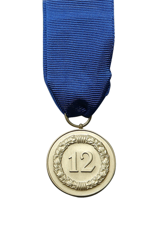 WW2 german medal,SS insignia,Imperial German badge,german badge,long seriver order,german medals WWII,german insignia,WW2 german medals,WW2 medals,WW2 order,german order,German Long Service Awards