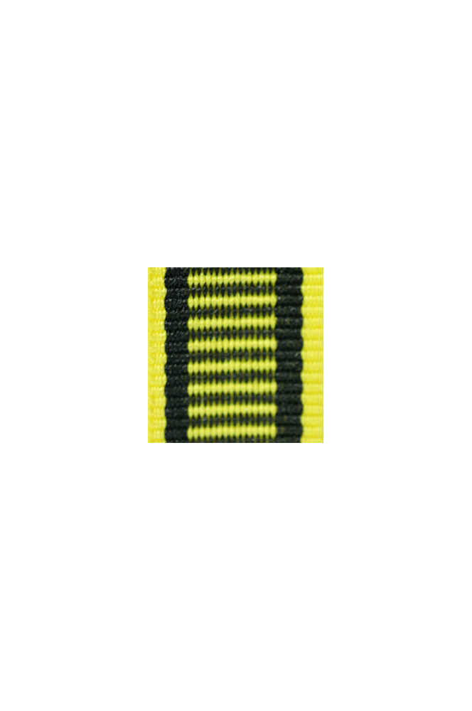 WW2 german medal,SS insignia,wehrmacht badge,ribbon bar,german ribbon,german medals WWII,german insignia,WW2 german medals,WW2 medals,german ribbon bar,WW2 order,german order,German Ribbon bar's ribbon
