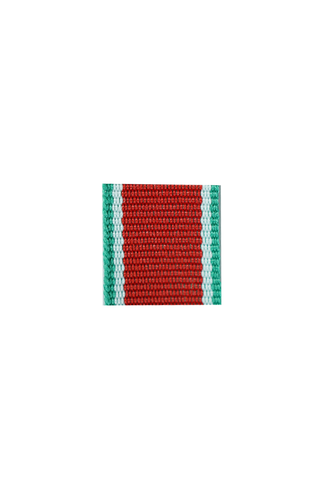 WW2 german medal,SS insignia,wehrmacht badge,ribbon bar,german ribbon,german medals WWII,german insignia,WW2 german medals,WW2 medals,german ribbon bar,WW2 order,german order,German Ribbon bar's ribbon