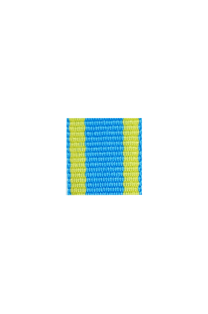 WW2 german medal,SS insignia,wehrmacht badge,ribbon bar,german ribbon,german medals WWII,german insignia,WW2 german medals,WW2 medals,german ribbon bar,WW2 order,german order,German Ribbon bar's ribbon