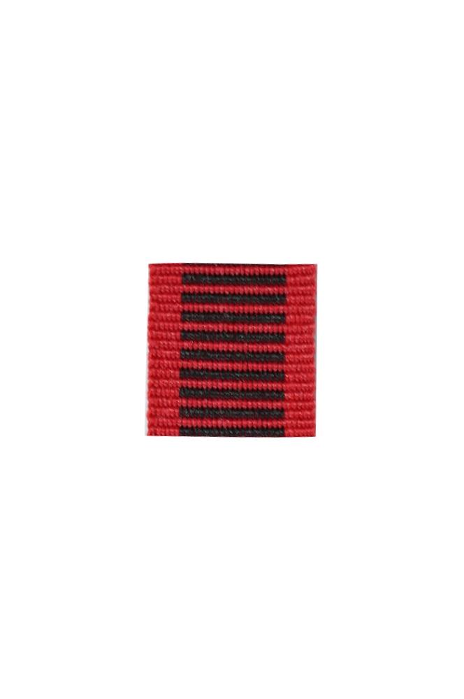 WW2 german medal,SS insignia,wehrmacht badge,ribbon bar,german ribbon,german medals WWII,german insignia,WW2 german medals,WW2 medals,german ribbon bar,WW2 order,german order,German Ribbon bar's ribbon