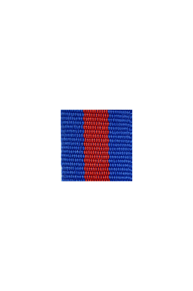 WW2 german medal,SS insignia,wehrmacht badge,ribbon bar,german ribbon,german medals WWII,german insignia,WW2 german medals,WW2 medals,german ribbon bar,WW2 order,german order,German Ribbon bar's ribbon