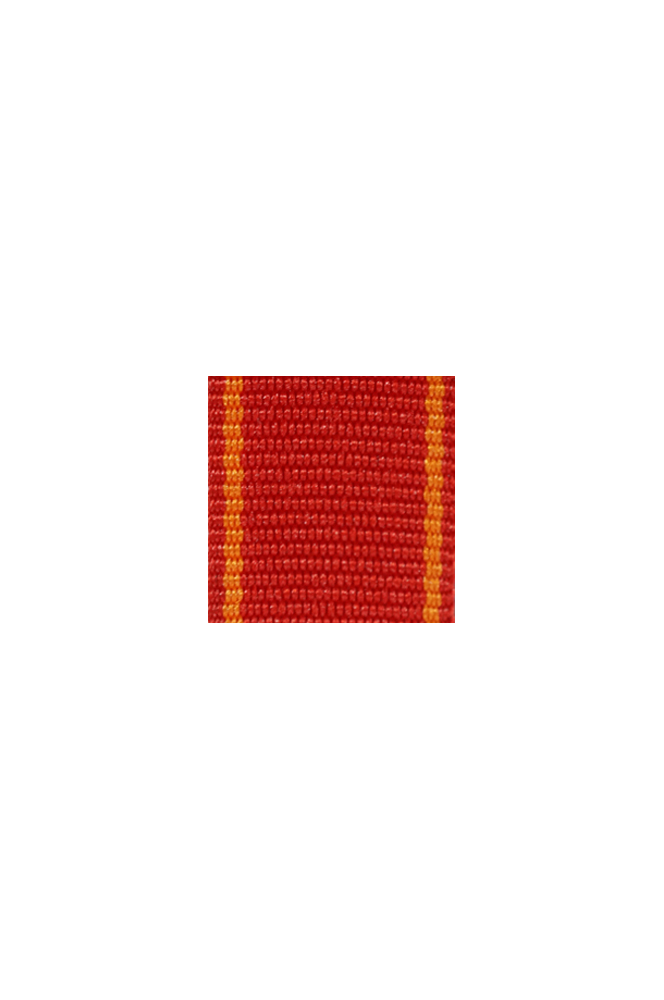 WW2 german medal,SS insignia,wehrmacht badge,ribbon bar,german ribbon,german medals WWII,german insignia,WW2 german medals,WW2 medals,german ribbon bar,WW2 order,german order,German Ribbon bar's ribbon