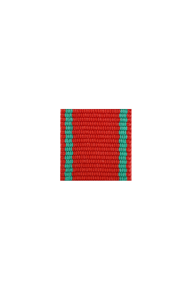 WW2 german medal,SS insignia,wehrmacht badge,ribbon bar,german ribbon,german medals WWII,german insignia,WW2 german medals,WW2 medals,german ribbon bar,WW2 order,german order,German Ribbon bar's ribbon