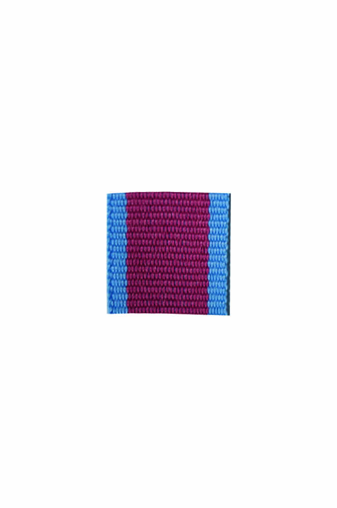 WW2 german medal,SS insignia,wehrmacht badge,ribbon bar,german ribbon,german medals WWII,german insignia,WW2 german medals,WW2 medals,german ribbon bar,WW2 order,german order,German Ribbon bar's ribbon