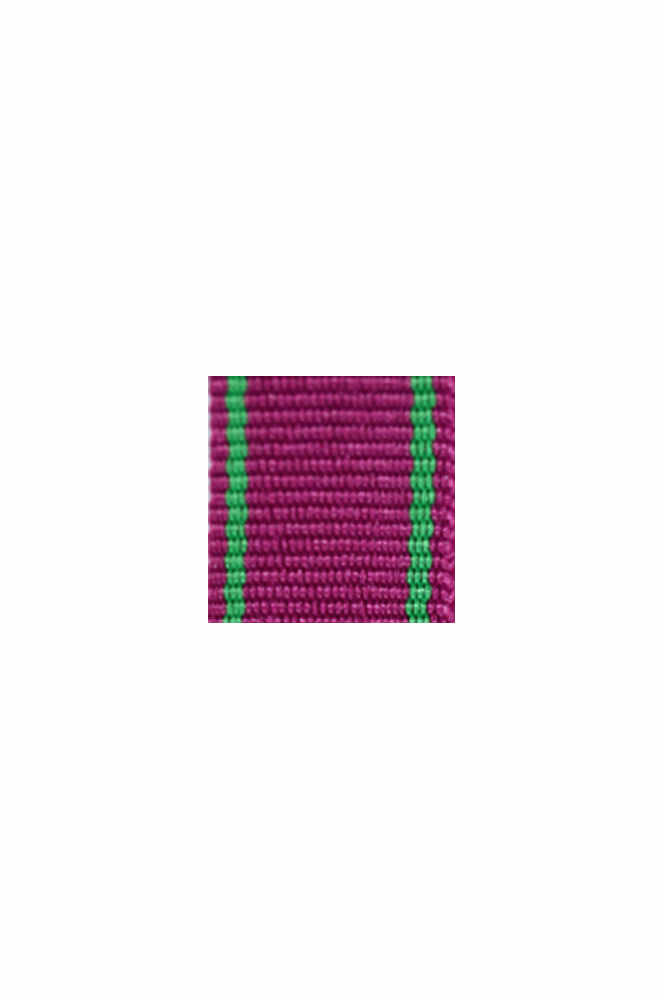 WW2 german medal,SS insignia,wehrmacht badge,ribbon bar,german ribbon,german medals WWII,german insignia,WW2 german medals,WW2 medals,german ribbon bar,WW2 order,german order,German Ribbon bar's ribbon