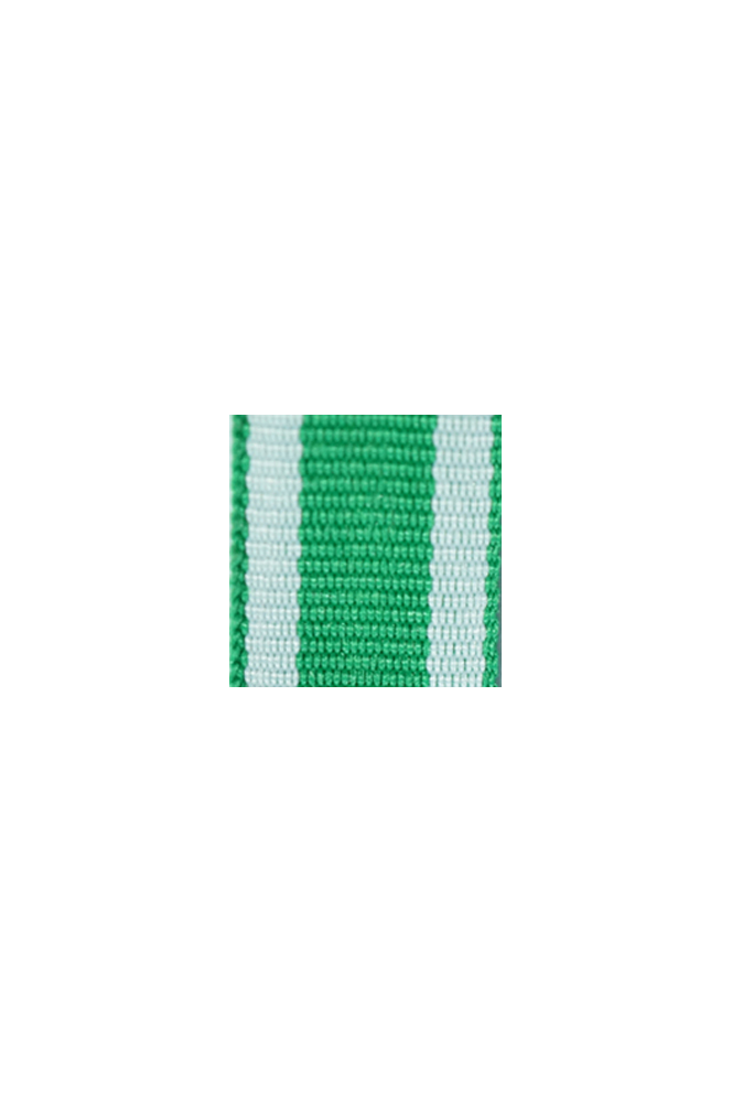 WW2 german medal,SS insignia,wehrmacht badge,ribbon bar,german ribbon,german medals WWII,german insignia,WW2 german medals,WW2 medals,german ribbon bar,WW2 order,german order,German Ribbon bar's ribbon
