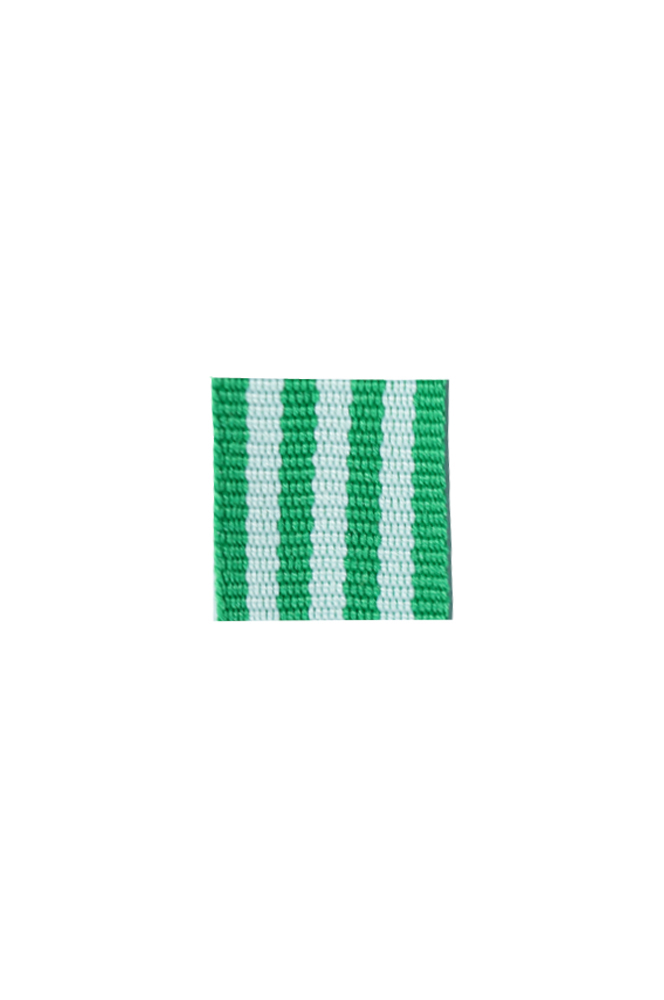 WW2 german medal,SS insignia,wehrmacht badge,ribbon bar,german ribbon,german medals WWII,german insignia,WW2 german medals,WW2 medals,german ribbon bar,WW2 order,german order,German Ribbon bar's ribbon