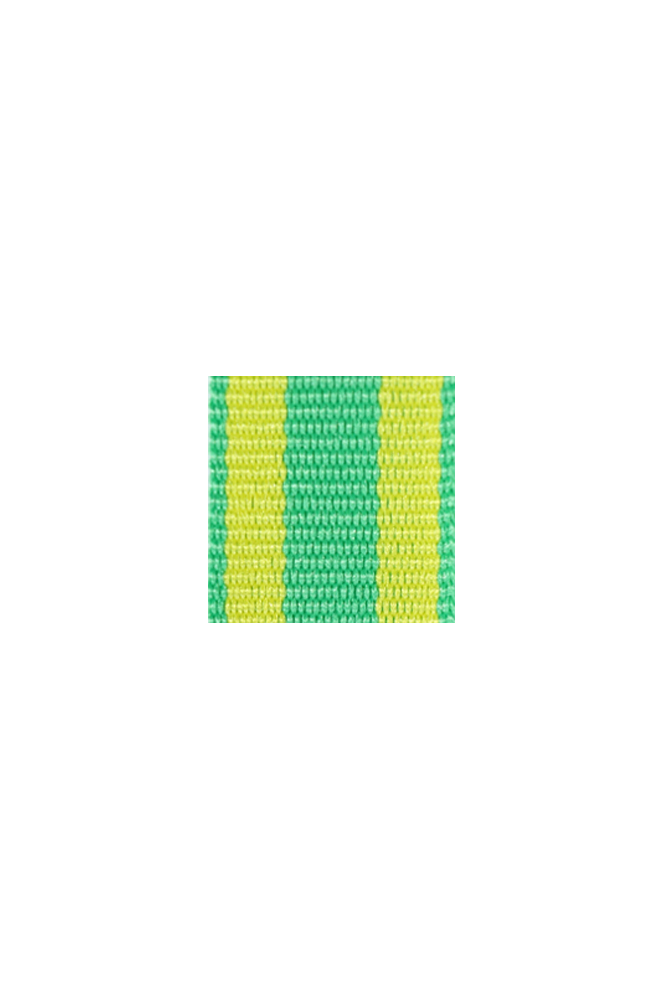 WW2 german medal,SS insignia,wehrmacht badge,ribbon bar,german ribbon,german medals WWII,german insignia,WW2 german medals,WW2 medals,german ribbon bar,WW2 order,german order,German Ribbon bar's ribbon