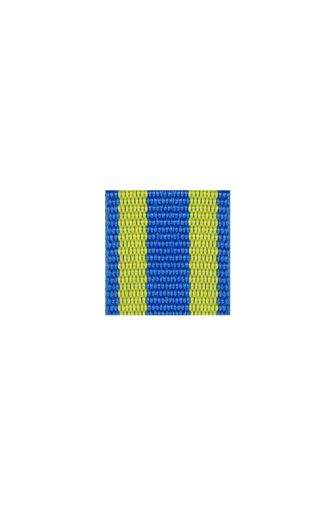 WW2 german medal,SS insignia,wehrmacht badge,ribbon bar,german ribbon,german medals WWII,german insignia,WW2 german medals,WW2 medals,german ribbon bar,WW2 order,german order,German Ribbon bar's ribbon
