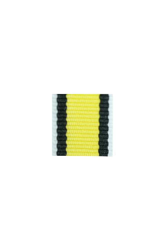 WW2 german medal,SS insignia,wehrmacht badge,ribbon bar,german ribbon,german medals WWII,german insignia,WW2 german medals,WW2 medals,german ribbon bar,WW2 order,german order,German Ribbon bar's ribbon