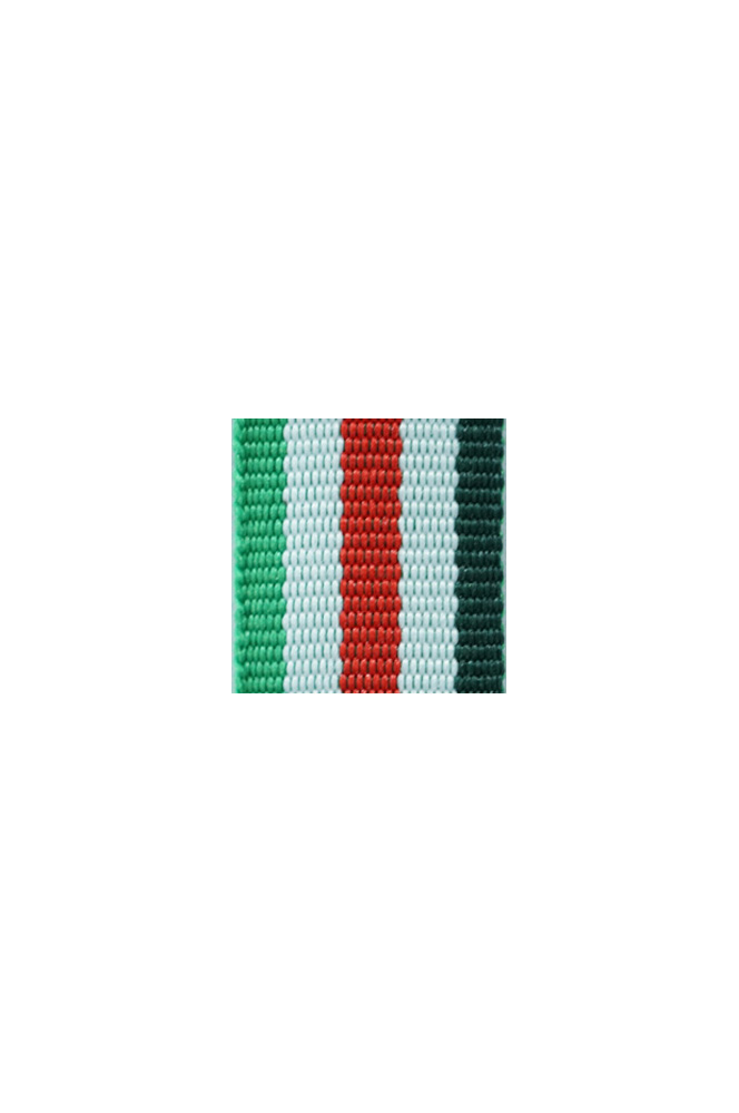 WW2 german medal,SS insignia,wehrmacht badge,ribbon bar,german ribbon,german medals WWII,german insignia,WW2 german medals,WW2 medals,german ribbon bar,WW2 order,german order,German Ribbon bar's ribbon