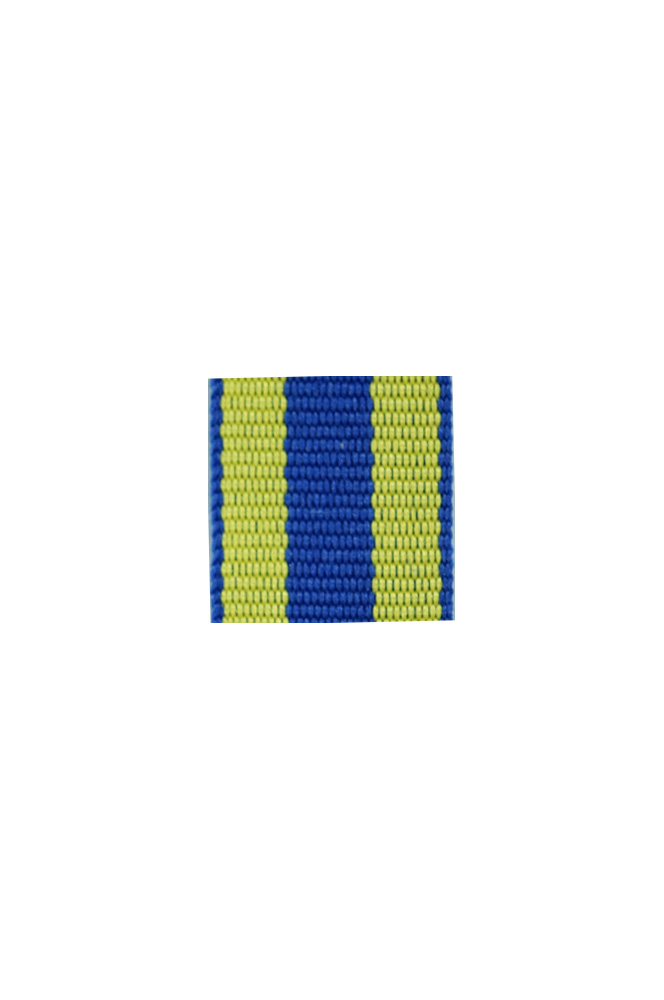 WW2 german medal,SS insignia,wehrmacht badge,ribbon bar,german ribbon,german medals WWII,german insignia,WW2 german medals,WW2 medals,german ribbon bar,WW2 order,german order,German Ribbon bar's ribbon