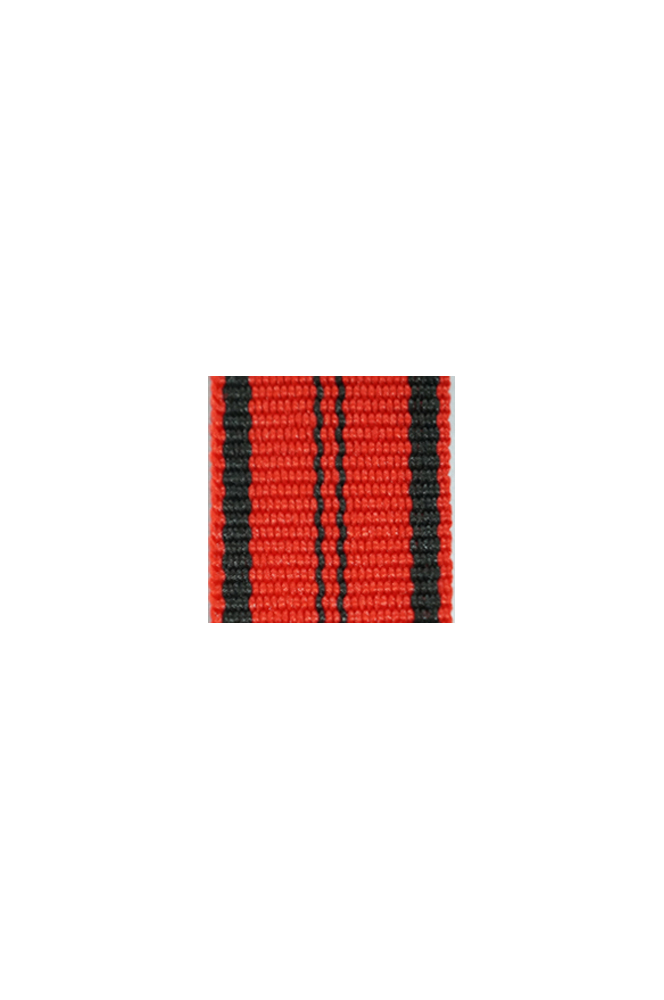 WW2 german medal,SS insignia,wehrmacht badge,ribbon bar,german ribbon,german medals WWII,german insignia,WW2 german medals,WW2 medals,german ribbon bar,WW2 order,german order,German Ribbon bar's ribbon