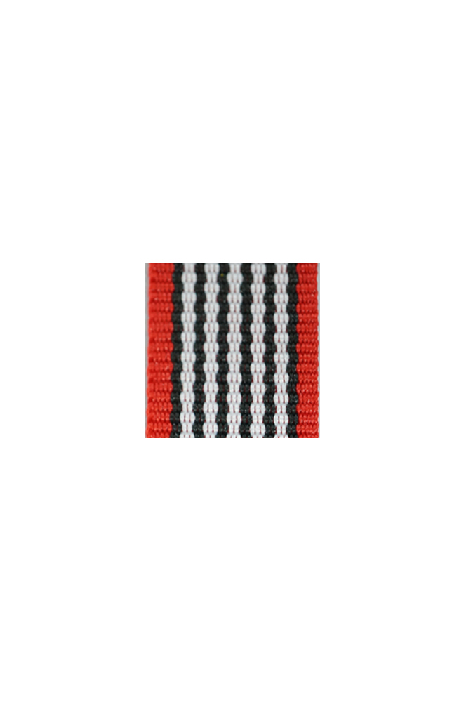 WW2 german medal,SS insignia,wehrmacht badge,ribbon bar,german ribbon,german medals WWII,german insignia,WW2 german medals,WW2 medals,german ribbon bar,WW2 order,german order,German Ribbon bar's ribbon