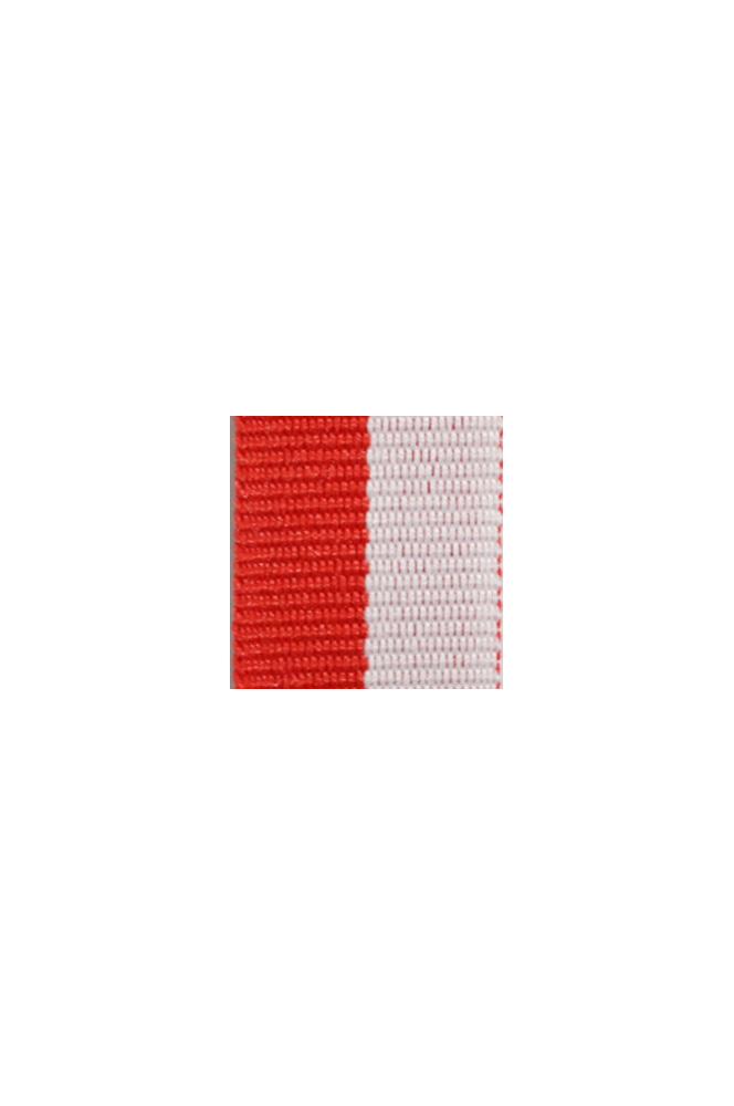 WW2 german medal,SS insignia,wehrmacht badge,ribbon bar,german ribbon,german medals WWII,german insignia,WW2 german medals,WW2 medals,german ribbon bar,WW2 order,german order,German Ribbon bar's ribbon