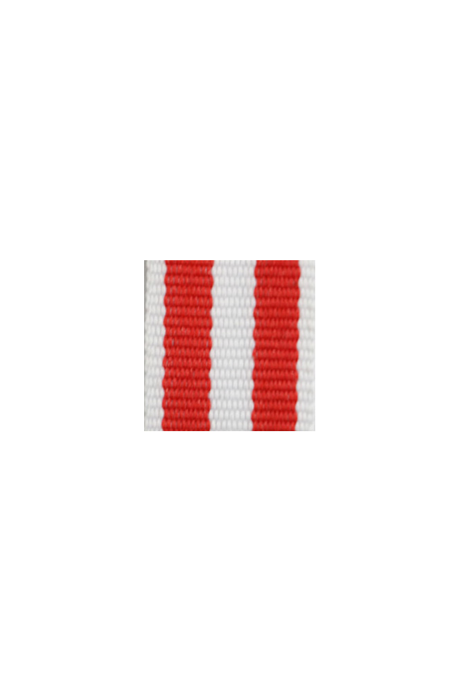 WW2 german medal,SS insignia,wehrmacht badge,ribbon bar,german ribbon,german medals WWII,german insignia,WW2 german medals,WW2 medals,german ribbon bar,WW2 order,german order,German Ribbon bar's ribbon