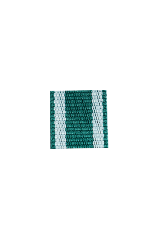 WW2 german medal,SS insignia,wehrmacht badge,ribbon bar,german ribbon,german medals WWII,german insignia,WW2 german medals,WW2 medals,german ribbon bar,WW2 order,german order,German Ribbon bar's ribbon