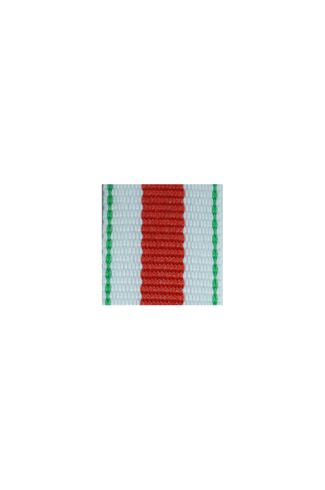 WW2 german medal,SS insignia,wehrmacht badge,ribbon bar,german ribbon,german medals WWII,german insignia,WW2 german medals,WW2 medals,german ribbon bar,WW2 order,german order,German Ribbon bar's ribbon
