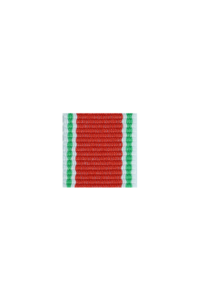 WW2 german medal,SS insignia,wehrmacht badge,ribbon bar,german ribbon,german medals WWII,german insignia,WW2 german medals,WW2 medals,german ribbon bar,WW2 order,german order,German Ribbon bar's ribbon