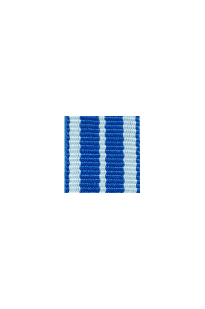 WW2 german medal,SS insignia,wehrmacht badge,ribbon bar,german ribbon,german medals WWII,german insignia,WW2 german medals,WW2 medals,german ribbon bar,WW2 order,german order,German Ribbon bar's ribbon