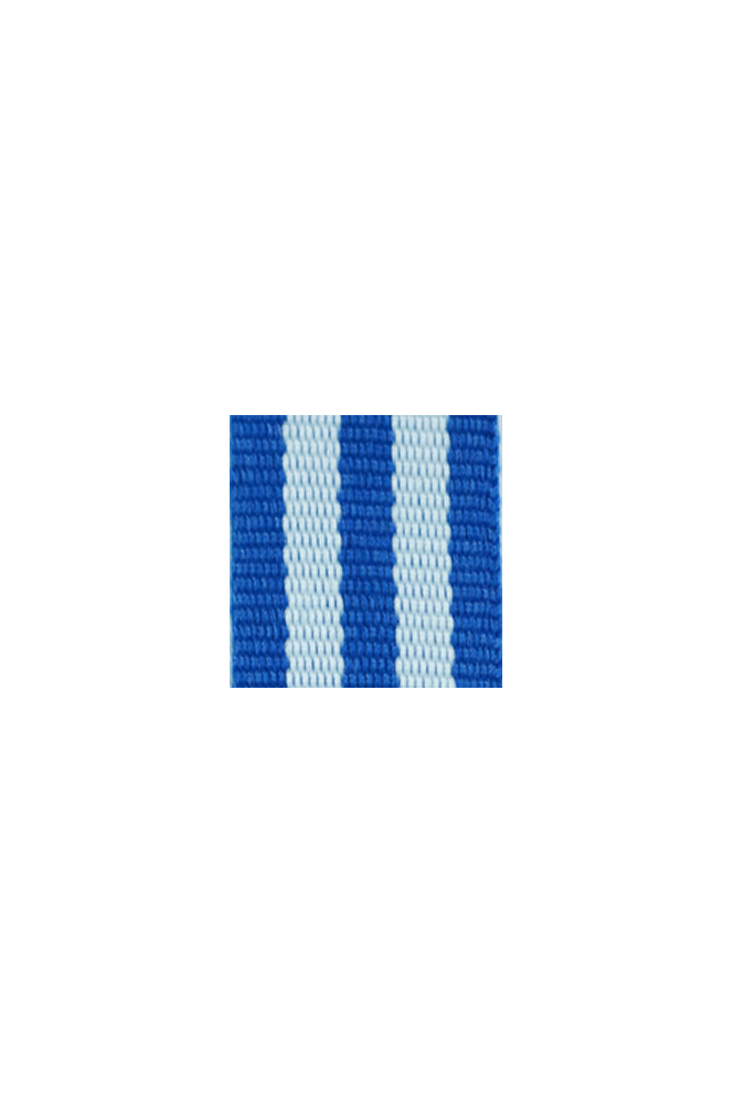 WW2 german medal,SS insignia,wehrmacht badge,ribbon bar,german ribbon,german medals WWII,german insignia,WW2 german medals,WW2 medals,german ribbon bar,WW2 order,german order,German Ribbon bar's ribbon