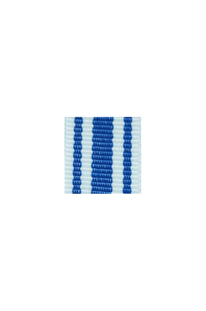 WW2 german medal,SS insignia,wehrmacht badge,ribbon bar,german ribbon,german medals WWII,german insignia,WW2 german medals,WW2 medals,german ribbon bar,WW2 order,german order,German Ribbon bar's ribbon