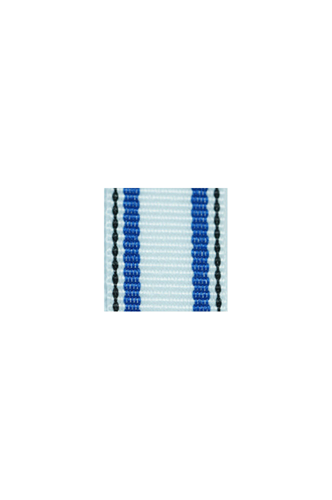 WW2 german medal,SS insignia,wehrmacht badge,ribbon bar,german ribbon,german medals WWII,german insignia,WW2 german medals,WW2 medals,german ribbon bar,WW2 order,german order,German Ribbon bar's ribbon