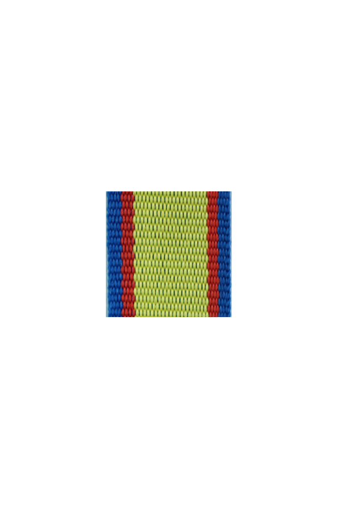 WW2 german medal,SS insignia,wehrmacht badge,ribbon bar,german ribbon,german medals WWII,german insignia,WW2 german medals,WW2 medals,german ribbon bar,WW2 order,german order,German Ribbon bar's ribbon