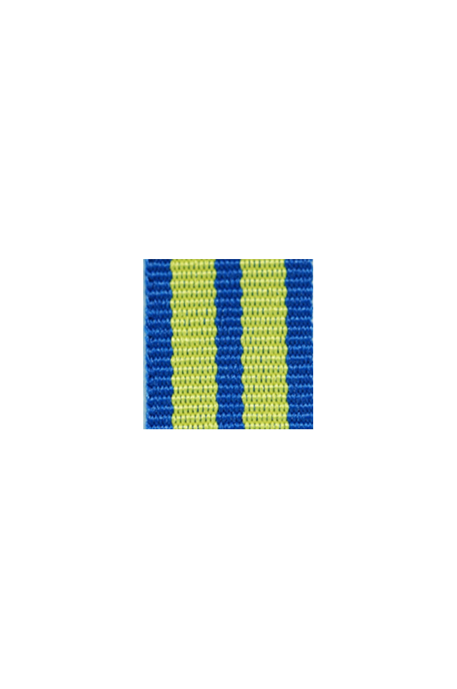 WW2 german medal,SS insignia,wehrmacht badge,ribbon bar,german ribbon,german medals WWII,german insignia,WW2 german medals,WW2 medals,german ribbon bar,WW2 order,german order,German Ribbon bar's ribbon