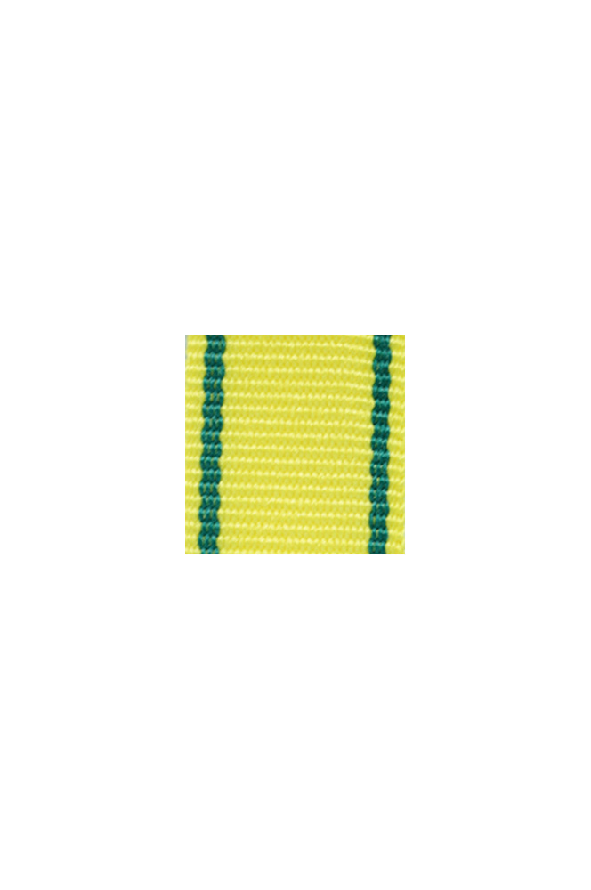 WW2 german medal,SS insignia,wehrmacht badge,ribbon bar,german ribbon,german medals WWII,german insignia,WW2 german medals,WW2 medals,german ribbon bar,WW2 order,german order,German Ribbon bar's ribbon