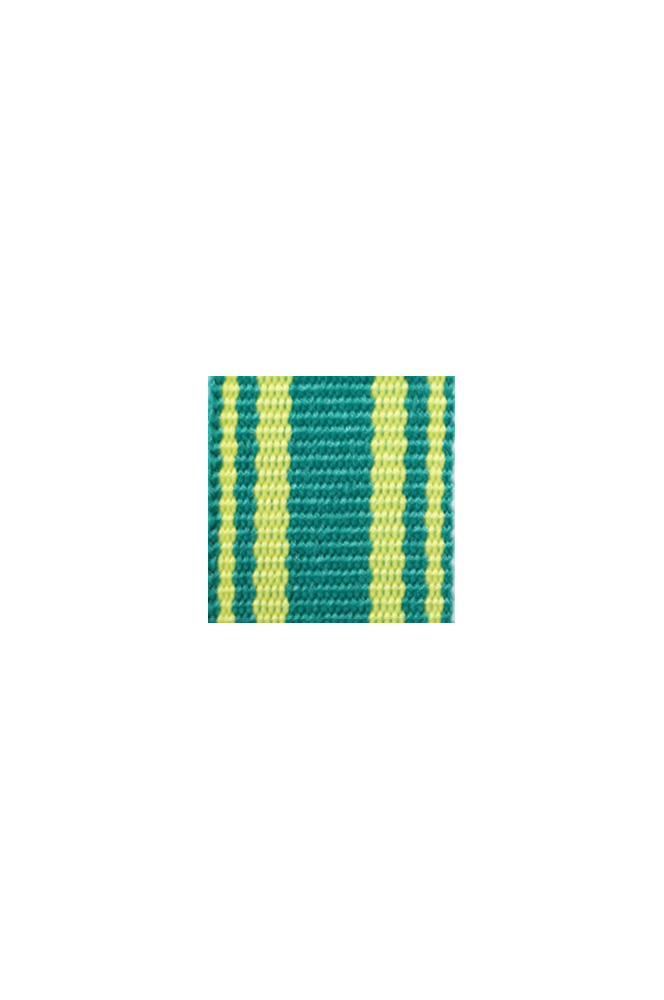 WW2 german medal,SS insignia,wehrmacht badge,ribbon bar,german ribbon,german medals WWII,german insignia,WW2 german medals,WW2 medals,german ribbon bar,WW2 order,german order,German Ribbon bar's ribbon