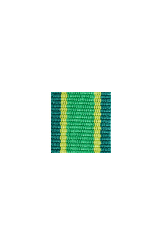 WW2 german medal,SS insignia,wehrmacht badge,ribbon bar,german ribbon,german medals WWII,german insignia,WW2 german medals,WW2 medals,german ribbon bar,WW2 order,german order,German Ribbon bar's ribbon