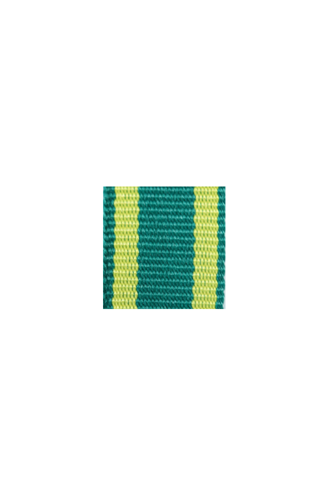 WW2 german medal,SS insignia,wehrmacht badge,ribbon bar,german ribbon,german medals WWII,german insignia,WW2 german medals,WW2 medals,german ribbon bar,WW2 order,german order,German Ribbon bar's ribbon