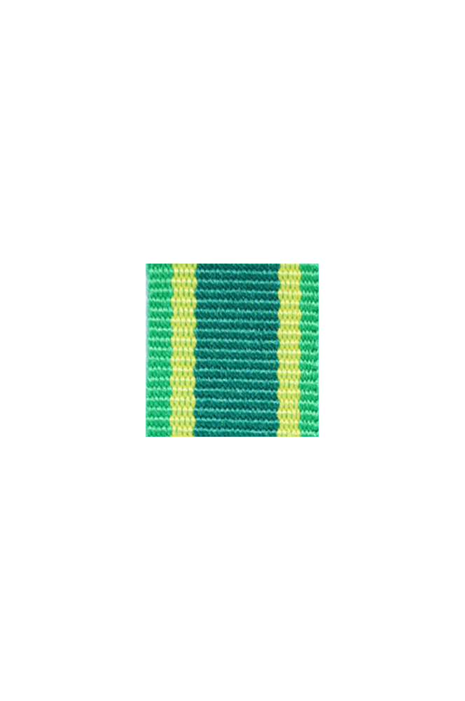 WW2 german medal,SS insignia,wehrmacht badge,ribbon bar,german ribbon,german medals WWII,german insignia,WW2 german medals,WW2 medals,german ribbon bar,WW2 order,german order,German Ribbon bar's ribbon