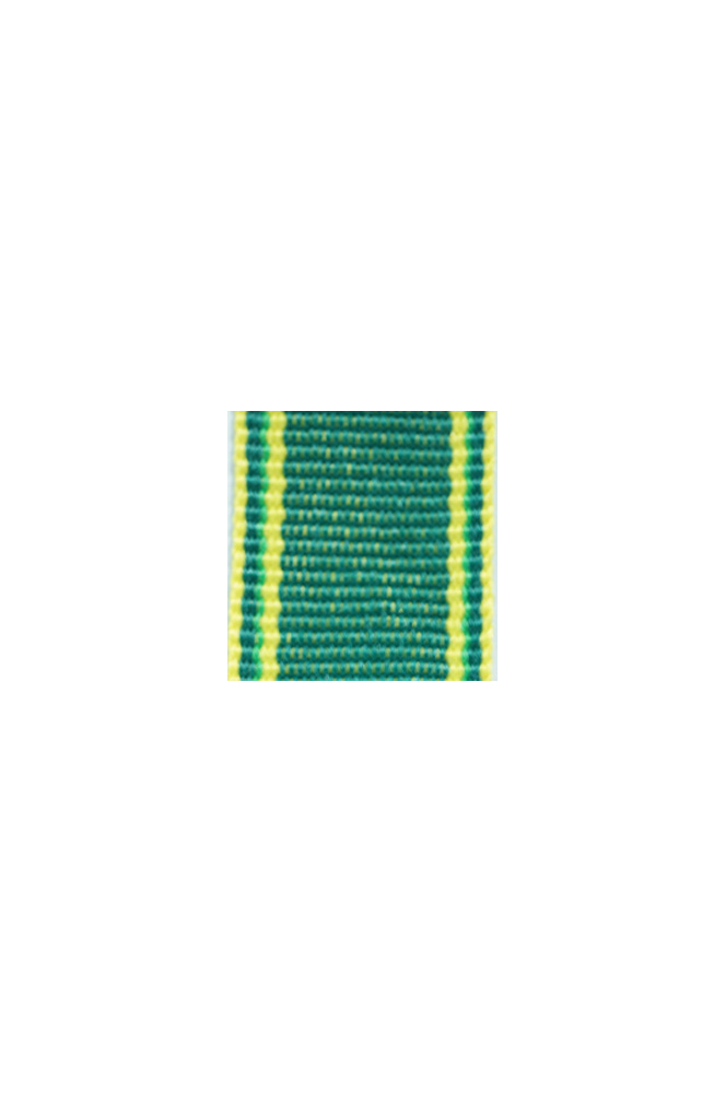 WW2 german medal,SS insignia,wehrmacht badge,ribbon bar,german ribbon,german medals WWII,german insignia,WW2 german medals,WW2 medals,german ribbon bar,WW2 order,german order,German Ribbon bar's ribbon