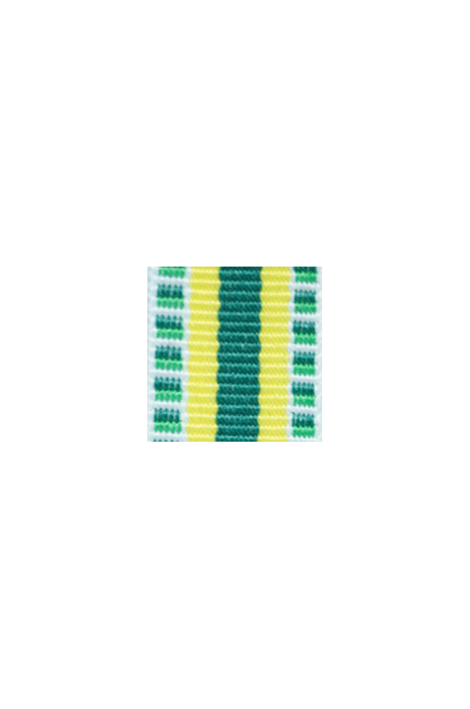 WW2 german medal,SS insignia,wehrmacht badge,ribbon bar,german ribbon,german medals WWII,german insignia,WW2 german medals,WW2 medals,german ribbon bar,WW2 order,german order,German Ribbon bar's ribbon