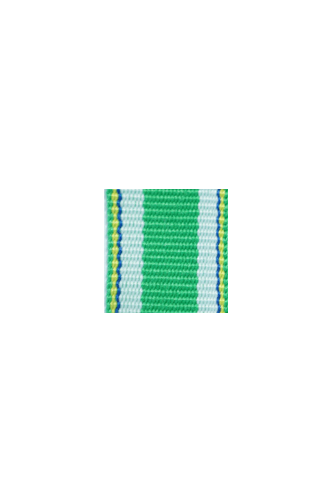 WW2 german medal,SS insignia,wehrmacht badge,ribbon bar,german ribbon,german medals WWII,german insignia,WW2 german medals,WW2 medals,german ribbon bar,WW2 order,german order,German Ribbon bar's ribbon