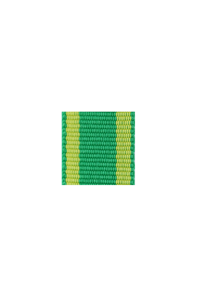WW2 german medal,SS insignia,wehrmacht badge,ribbon bar,german ribbon,german medals WWII,german insignia,WW2 german medals,WW2 medals,german ribbon bar,WW2 order,german order,German Ribbon bar's ribbon