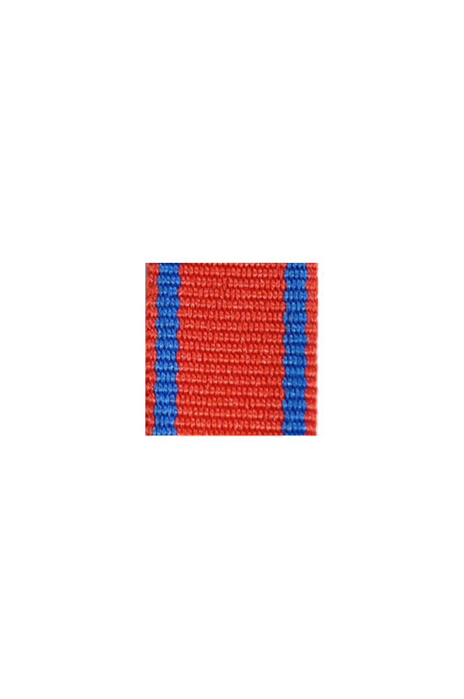 WW2 german medal,SS insignia,wehrmacht badge,ribbon bar,german ribbon,german medals WWII,german insignia,WW2 german medals,WW2 medals,german ribbon bar,WW2 order,german order,German Ribbon bar's ribbon