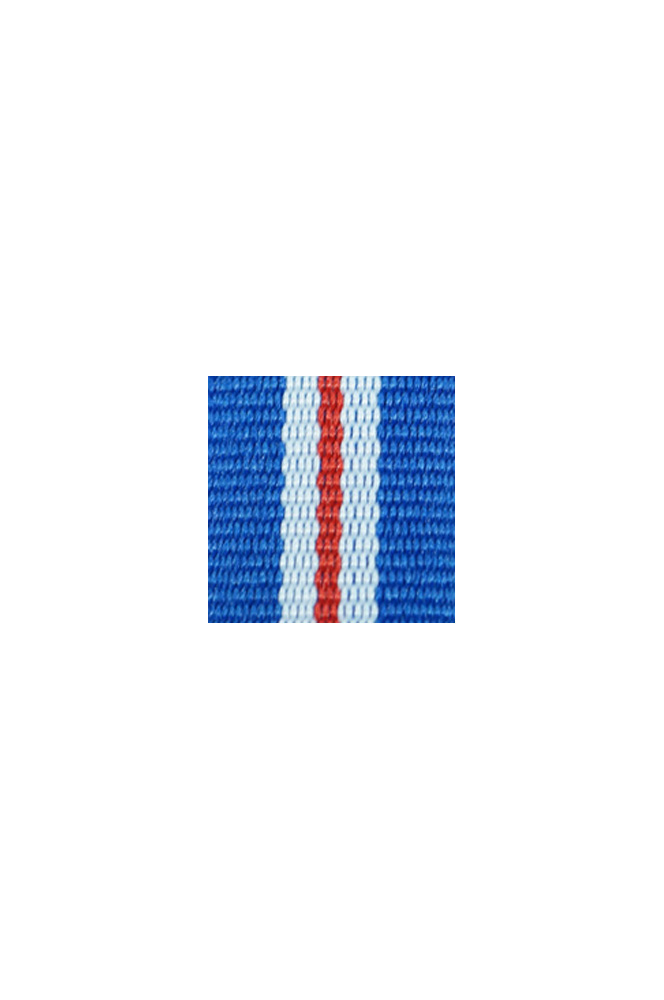 WW2 german medal,SS insignia,wehrmacht badge,ribbon bar,german ribbon,german medals WWII,german insignia,WW2 german medals,WW2 medals,german ribbon bar,WW2 order,german order,German Ribbon bar's ribbon